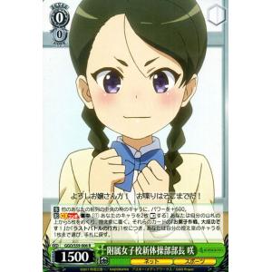 ヴァイスシュヴァルツ ソードアート・オンライン オルタナティブ ガンゲイル・オンライン 附属女子校新...