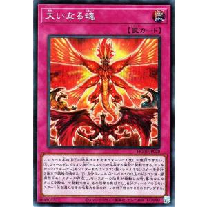 遊戯王オフィシャルカードゲーム デュエルモンスターズ 遊戯王カード