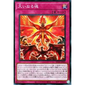 遊戯王　引退品　青眼の白龍コレクション 遊戯王 引退品 青眼の白龍コレクション 遊戯王 青眼の白龍 遊戯王 引退品