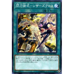遊戯王オフィシャルカードゲーム デュエルモンスターズ 遊戯王カード