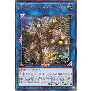 遊戯王オフィシャルカードゲーム デュエルモンスターズ 遊戯王カード