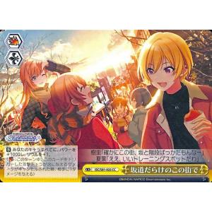 斑鳩ルカ SSP ヴァイスシュヴァルツ アイドルマスターシャイニーカラーズ 斑鳩ルカ SSP ヴァイスシュヴァルツ アイドルマスターシャイニー