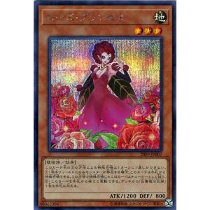 コナミデジタルエンタテインメント 遊戯王カード エクシーズ