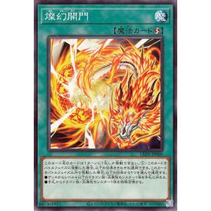 遊戯王オフィシャルカードゲーム デュエルモンスターズ 遊戯王 遊戯王オフィシャルカードゲーム デュエルモンスターズ 遊戯王