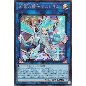遊戯王カード 双穹の騎士アストラム(シークレットレア) LIMIT OVER COLLECTION - THE HEROES -（LOCH） | ジャックナイツ・パラディオン リンク