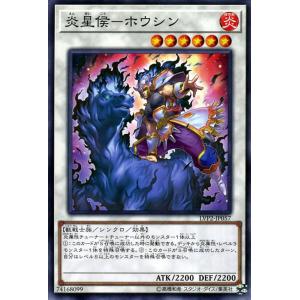 遊戯王オフィシャルカードゲーム デュエルモンスターズ 遊戯王カード