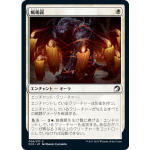 Magic: The Gathering MTG マジック:ザ・ギャザリング 静寂の Magic: The Gathering MTG マジック:ザ・ギャザリング 静寂の