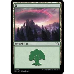 Magic: The Gathering（マジック：ザ・ギャザリング） MTG 沼(基本土地