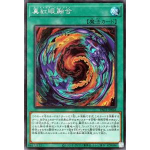 遊戯王オフィシャルカードゲーム デュエルモンスターズ 遊戯王
