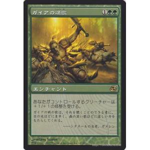 Magic: The Gathering（マジック：ザ・ギャザリング） 図書館の大魔術