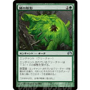 Magic: The Gathering マジック・ザ・ギャザリング 森