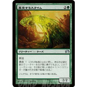 Magic: The Gathering マジック・ザ・ギャザリング 森