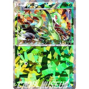 ポケモンカードゲームbw ジャローダ プロモーションカード Pmbw P198 カードミュージアム Yahoo 店 通販 Yahoo ショッピング