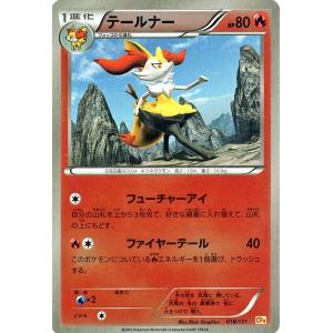 ポケモンカードゲームXY テールナー（キラ仕様） / プレミアムチャンピオンパック「EX×M×BRE...