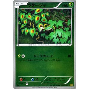 Pokemon（ポケモン） ポケモンカードゲームBW/フタチマル/コンセプト