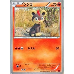 ポケモンカードゲームXY/シシコ/XYMマスターデッキビルドBOX｜card-museum