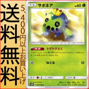 ポケモンカードゲーム SM6b 拡張強化パック チャンピオンロード サボネア（C）｜card-museum