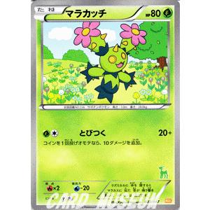Pokemon ポケモンカードゲームBW/エレブー/みんなのWAKUWAKUバトル