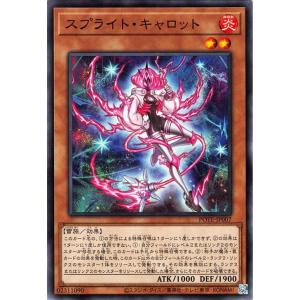 遊戯王オフィシャルカードゲーム デュエルモンスターズ 遊戯王カード