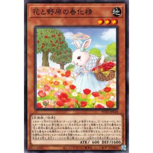 遊戯王オフィシャルカードゲーム デュエルモンスターズ 遊戯王カード