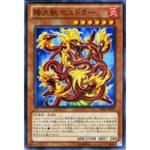 遊戯王オフィシャルカードゲーム デュエルモンスターズ 遊戯王カード 