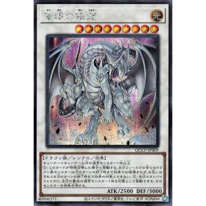 遊戯王オフィシャルカードゲーム デュエルモンスターズ 遊戯王カード