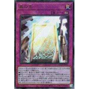 遊戯王オフィシャルカードゲーム デュエルモンスターズ 遊戯王カード
