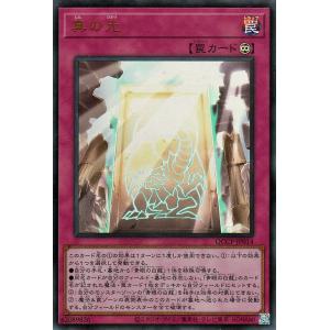 遊戯王カード 真の光(ウルトラレア) QUARTER CENTURY CHRONICLE side：...