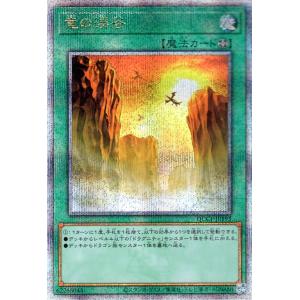 遊戯王カード 竜の渓谷(25th シークレットレア) QUARTER CENTURY CHRONIC...