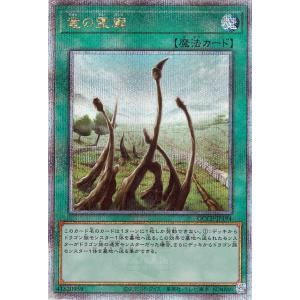 遊戯王カード 竜の霊廟(25th シークレットレア) QUARTER CENTURY CHRONIC...