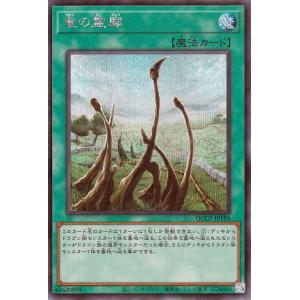 遊戯王カード 竜の霊廟(シークレットレア) QUARTER CENTURY CHRONICLE si...