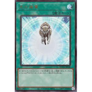 遊戯王OCG デュエルモンスターズ ホロカード 遊戯王オフィシャルカードゲーム デュエルモンスターズ 遊戯王カード