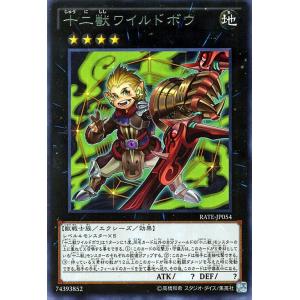 遊戯王オフィシャルカードゲーム デュエルモンスターズ 遊戯王