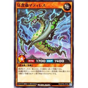 遊戯王オフィシャルカードゲーム デュエルモンスターズ 遊戯王 遊戯王オフィシャルカードゲーム デュエルモンスターズ 遊戯王