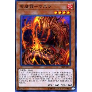 遊戯王オフィシャルカードゲーム デュエルモンスターズ 遊戯王カード