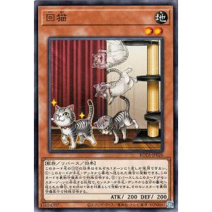 遊戯王カード 回猫(ノーマル) レイジ・オブ・ジ・アビス（ROTA） | 効果モンスター 地属性 獣族 ノーマル