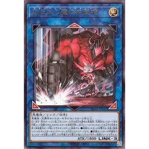 遊戯王オフィシャルカードゲーム デュエルモンスターズ 遊戯王