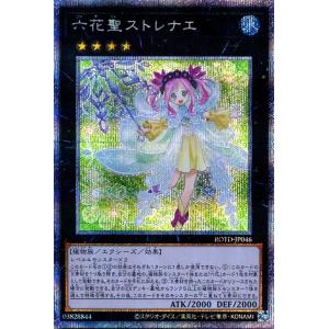 超希少!!! 遊戯王 ミニカード カース・オブ・ドラゴン カードケースにいれ保管 G1G1」遊戯王カード未開封Box レギュラーサイズ 保管用 ケース