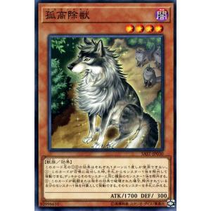 遊戯王オフィシャルカードゲーム デュエルモンスターズ 遊戯王カード