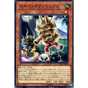 遊戯王カード 蝕の双仔(レア) SUPREME DARKNESS（SUDA） | エクリプス