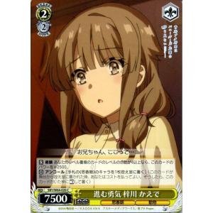 ヴァイスシュヴァルツ 青春ブタ野郎はバニーガール先輩の夢を見