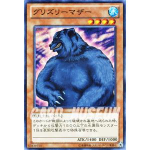 遊戯王オフィシャルカードゲーム デュエルモンスターズ 遊戯王カード