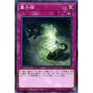 遊戯王 ストラクチャーデッキR 量子猫（ノーマル） サイバース・リンク（SD32）