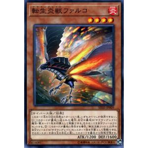 遊戯王オフィシャルカードゲーム デュエルモンスターズ 遊戯王カード