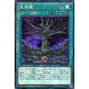 遊戯王オフィシャルカードゲーム デュエルモンスターズ 遊戯王カード