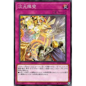 遊戯王オフィシャルカードゲーム デュエルモンスターズ 遊戯王カード
