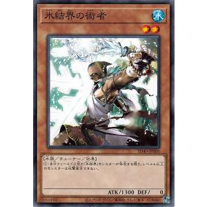 遊戯王オフィシャルカードゲーム デュエルモンスターズ 遊戯王カード