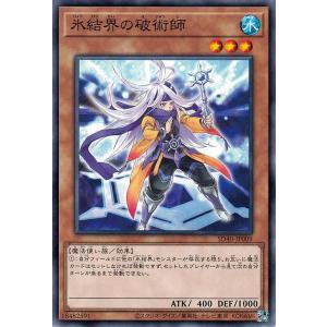 遊戯王オフィシャルカードゲーム デュエルモンスターズ 遊戯王カード