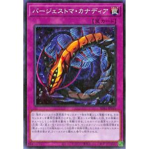 遊戯王オフィシャルカードゲーム デュエルモンスターズ 遊戯王カード