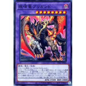 The Fallen & The Virtuous　聖痕喰らいし竜 プリズマ 遊戯王 The Fallen＆The Virtuous 聖痕喰らいし竜 プリズマ 聖痕喰らい
